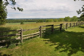 View to North - Country homes for sale and luxury real estate including horse farms and property in the Caledon and King City areas near Toronto